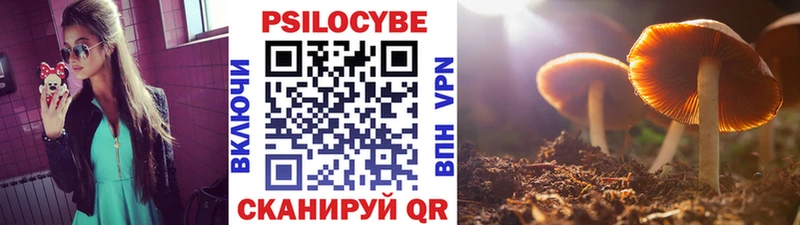 кракен сайт Куса Псилоцибиновые грибы MAGIC MUSHROOMS